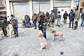 VBS_3916 - Quattordicesimo Raduno Nazionale dei Tabui 2024
